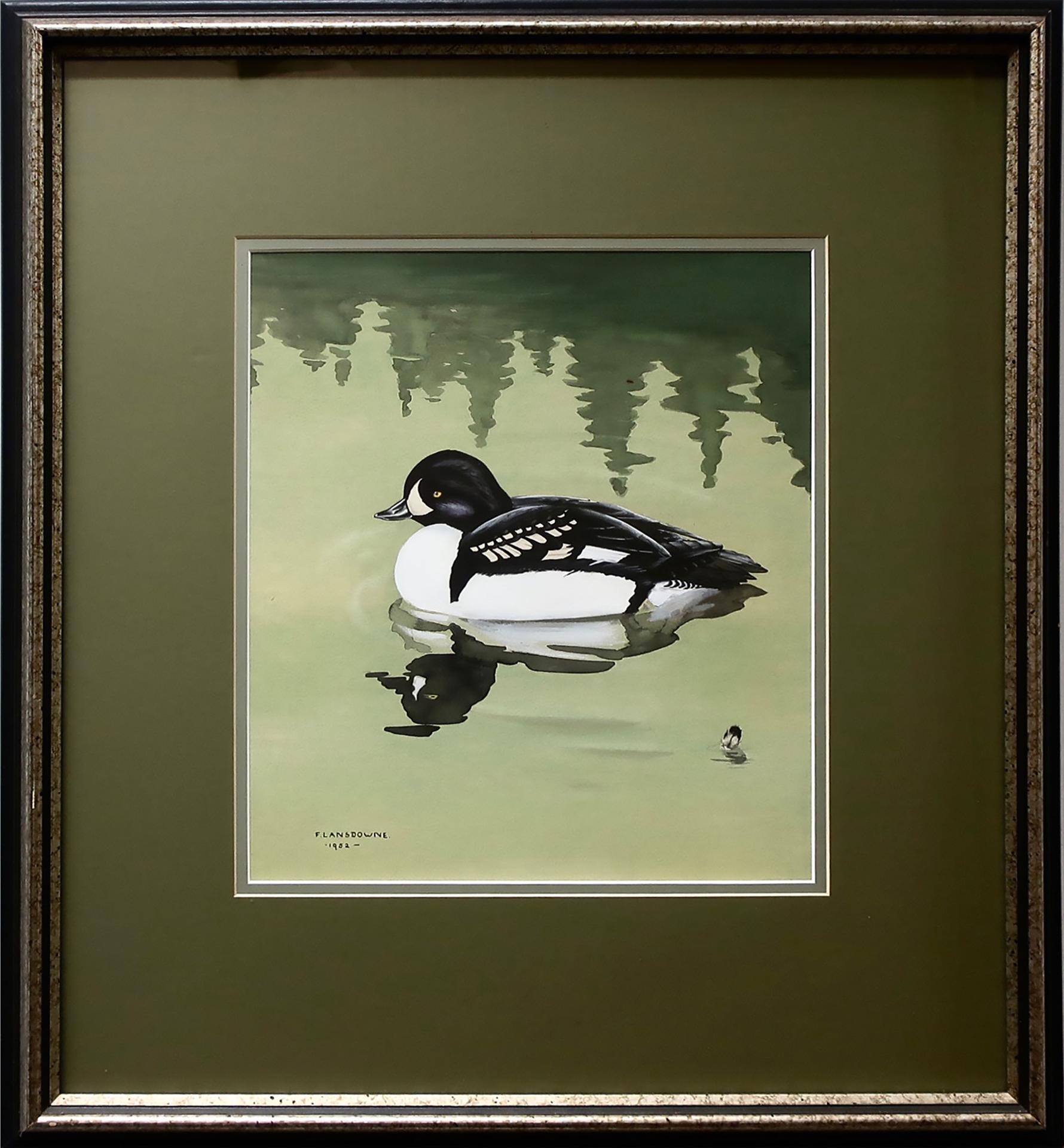 James Fenwick Lansdowne (1937-2008) - Untitled (Barrows Goldeneye)