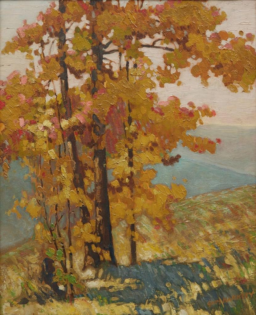 Greg Harkley - Autumn Colours