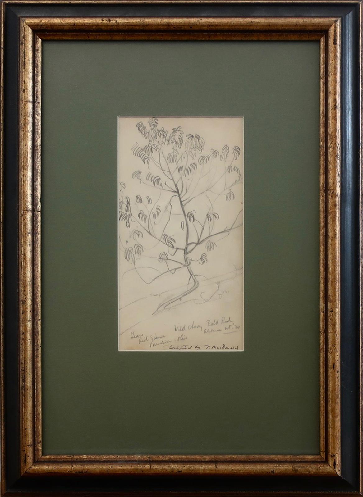 James Edward Hervey (J.E.H.) MacDonald (1873-1932) - Wild Cherry, Bald Rock, Algoma, Ont.