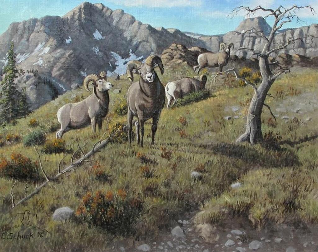 Elmer Schock (1970) - Bighorn Sheep