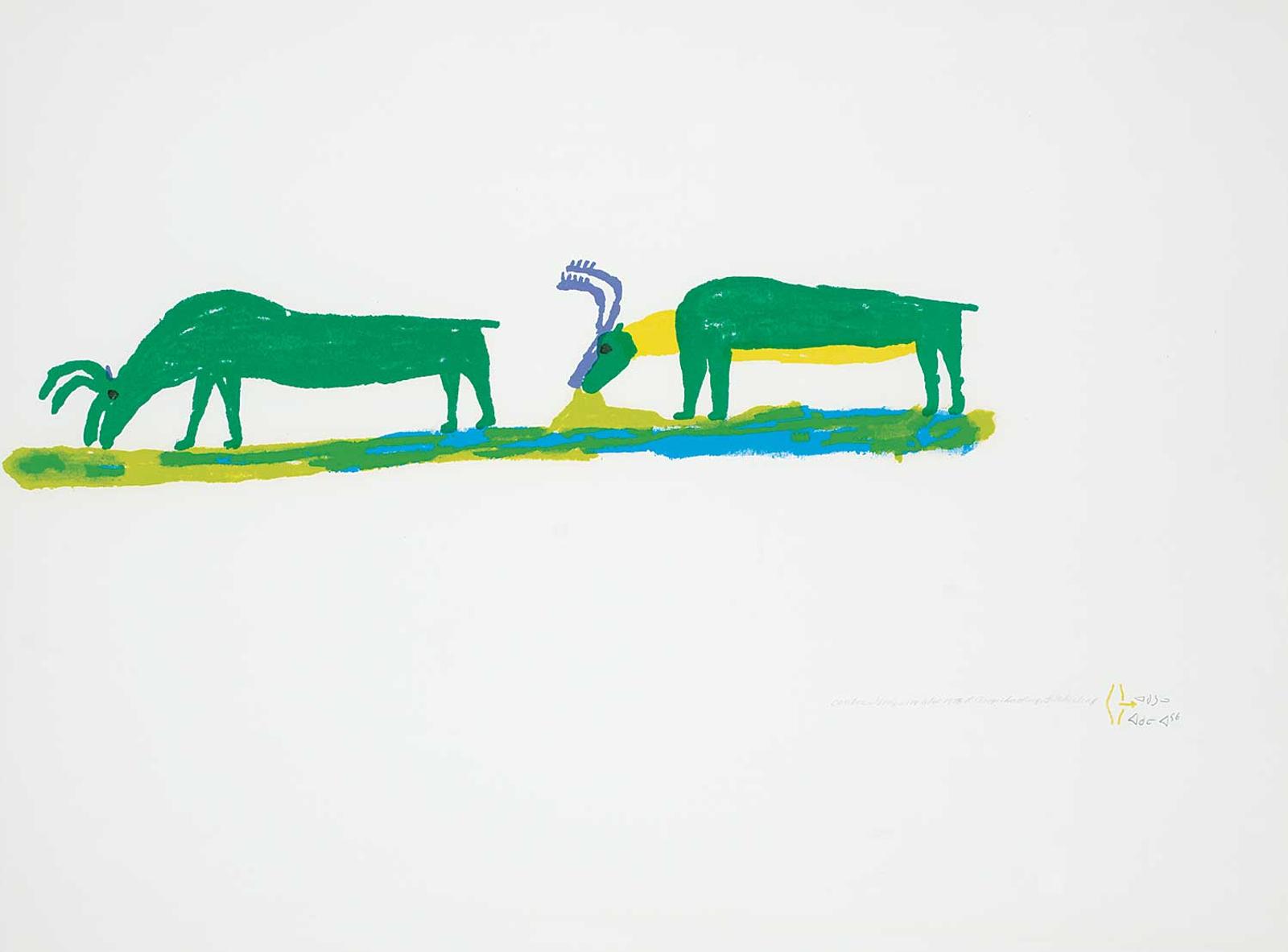 Anguhadluq - Caribou Grazing  #6/60