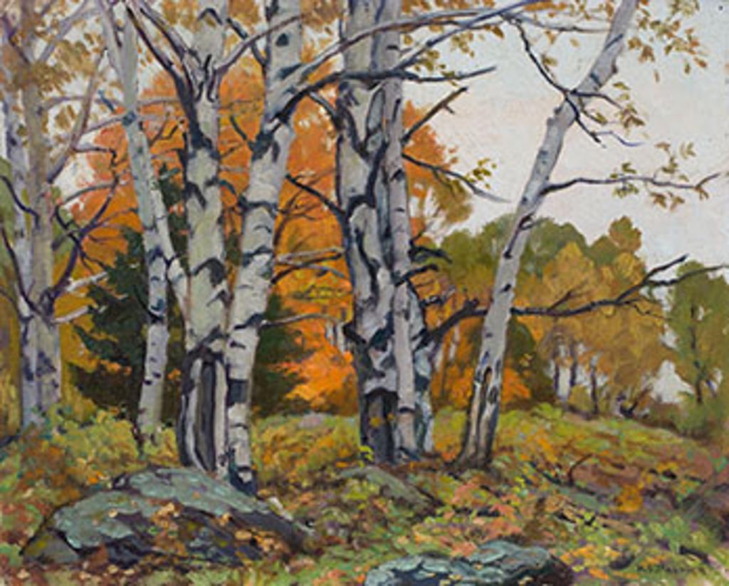 Herbert Sidney Palmer (1881-1970) - Birches and Maples
