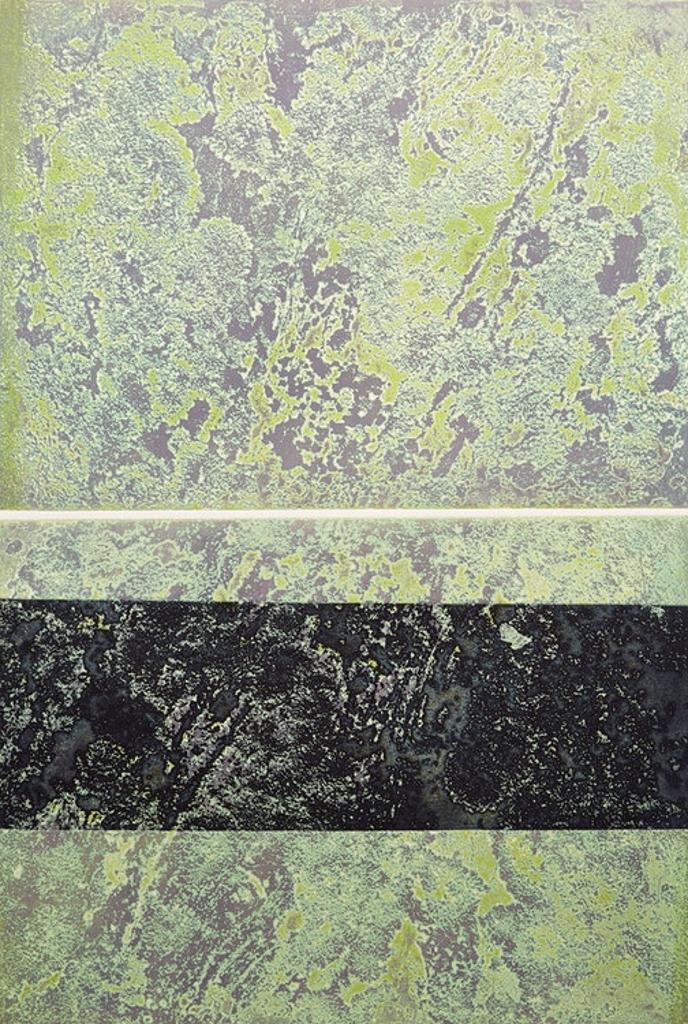 Edward John (Ted) Bartram (1938-2019) - Lichen Canadian Shield