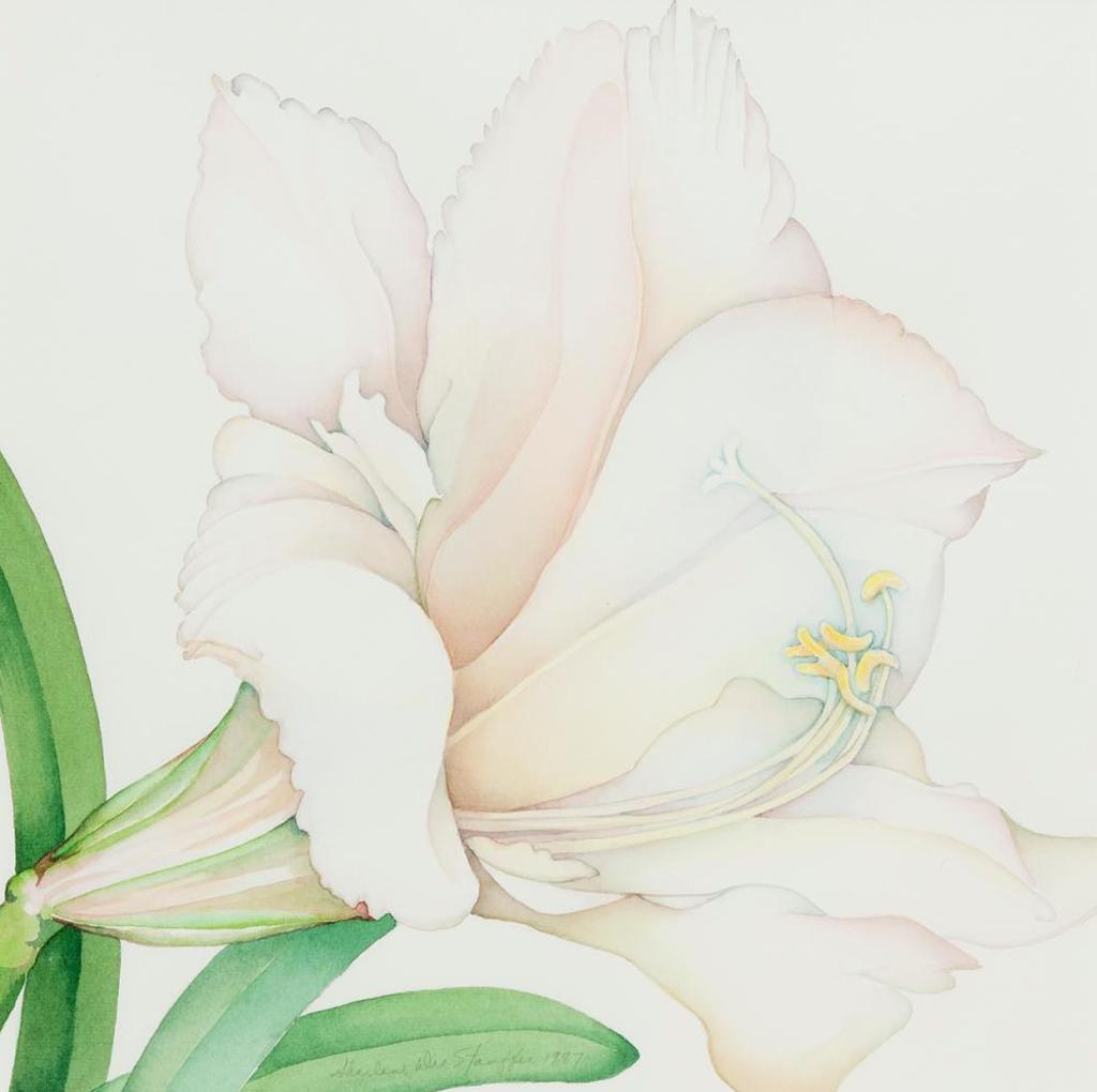Sharlene Dee Stauffer (1935-2013) - The Muslin Frock