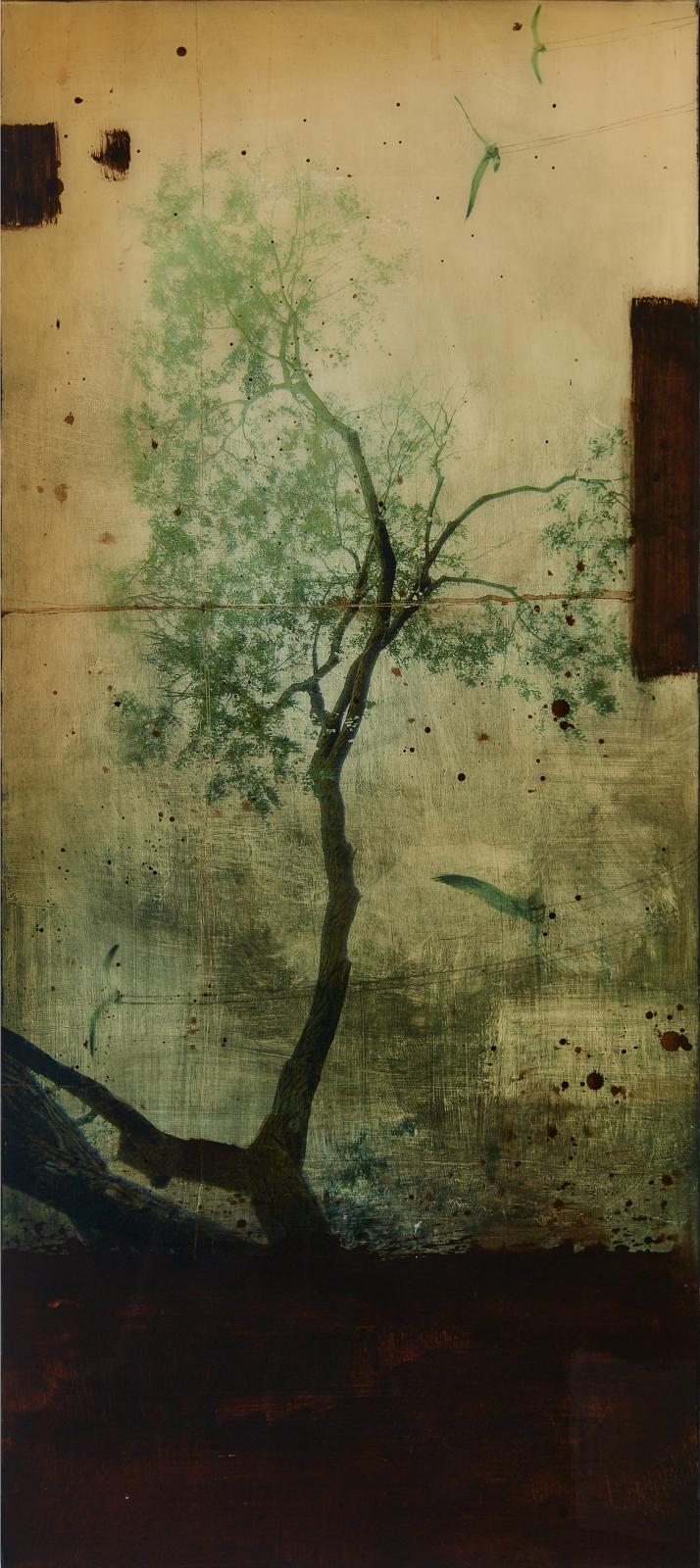 Steven Nederveen (1971) - Branch On Infinite White, 2006