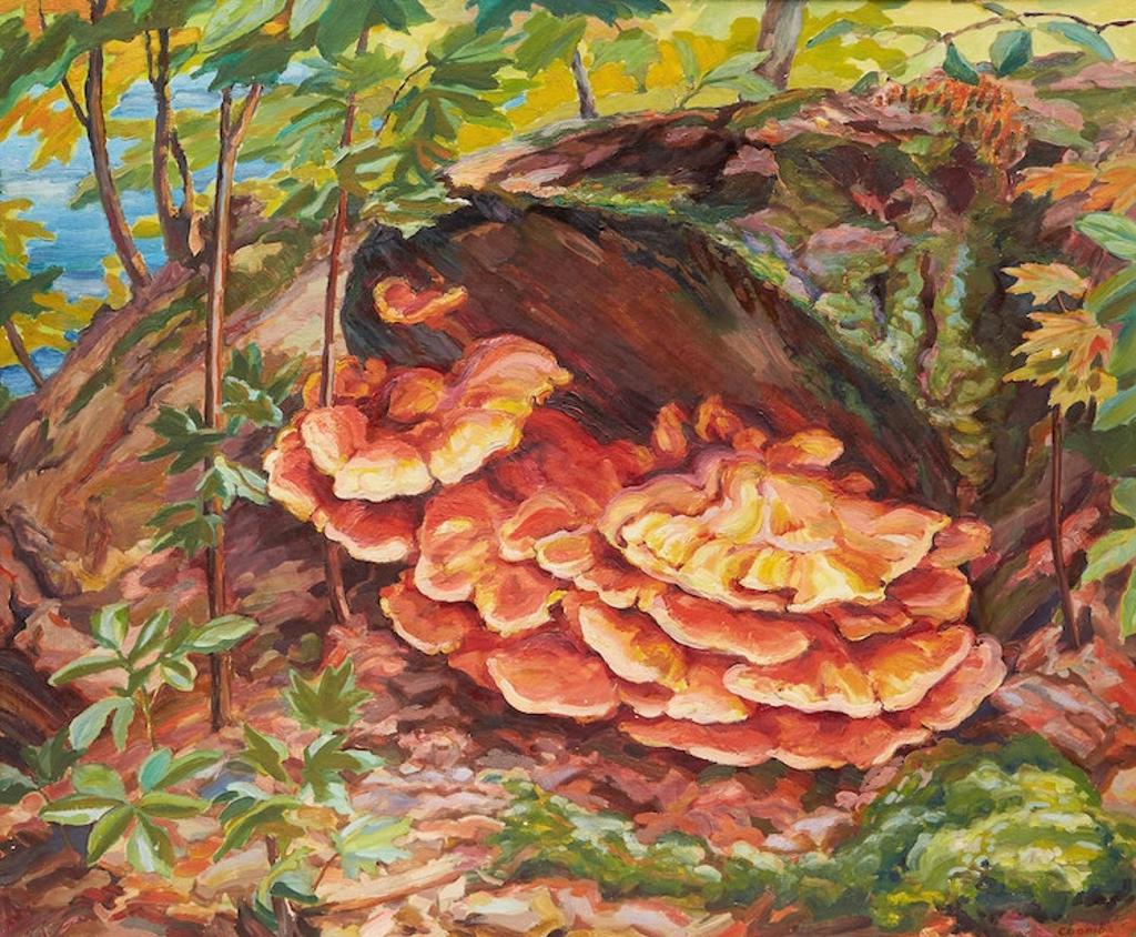 Edith Grace (Lawson) Coombs (1890-1986) - Undergrowth