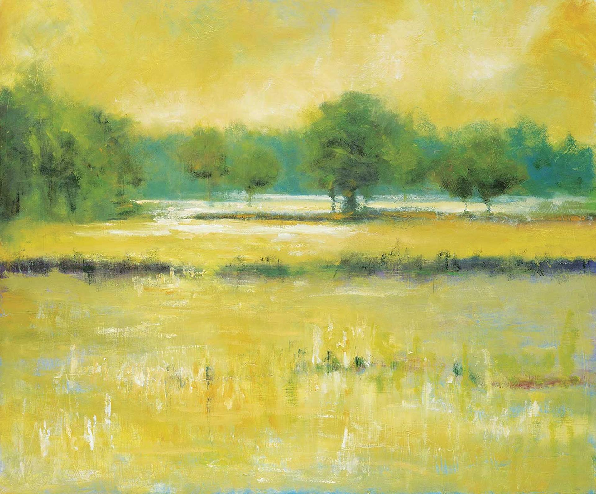 Scott Addis (1963) - After the Rain