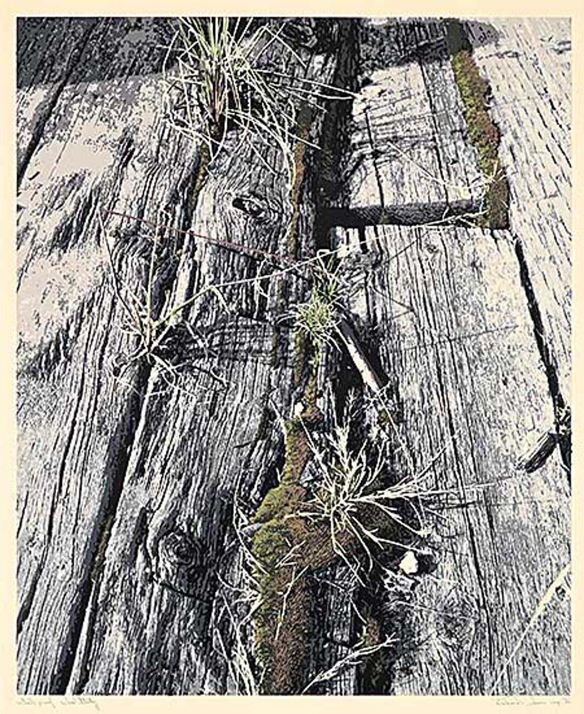 Richard Thomas Davis (1947) - Wood Study #Artist's Proof