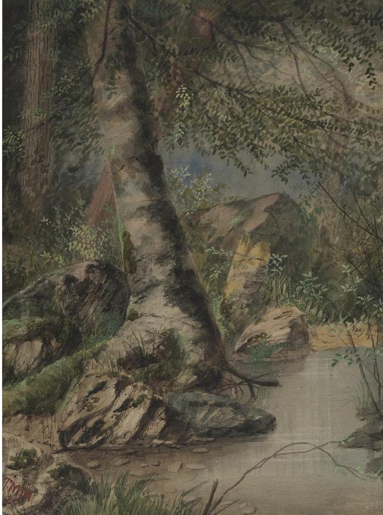 Thomas Mower Martin (1838-1934) - Forest Stream