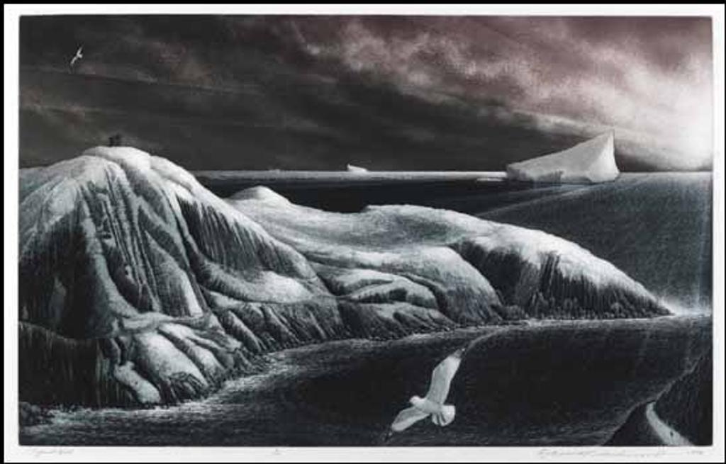 David Lloyd Blackwood (1941-2022) - Signal Hill