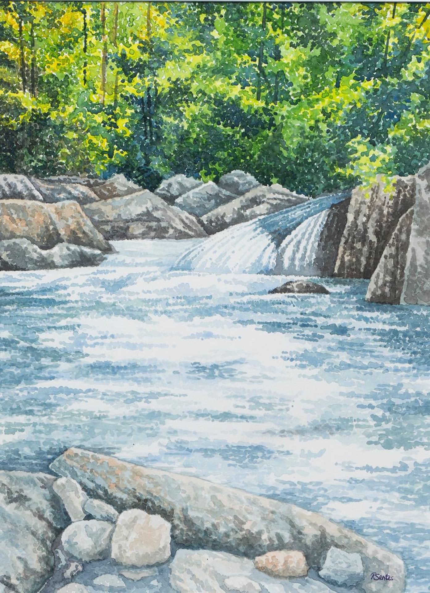 Rhonda Sentes - Forest Stream
