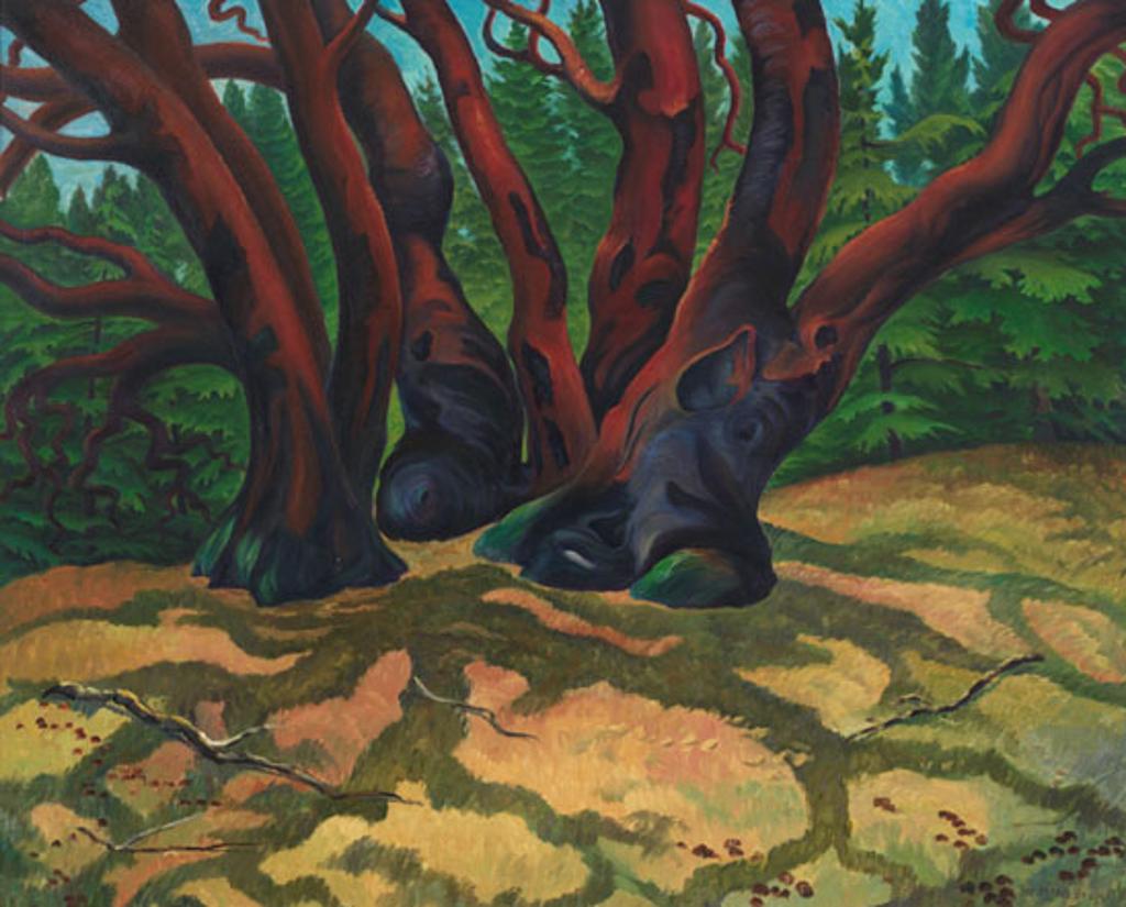 William Percival (W.P.) Weston (1879-1967) - Arbutus