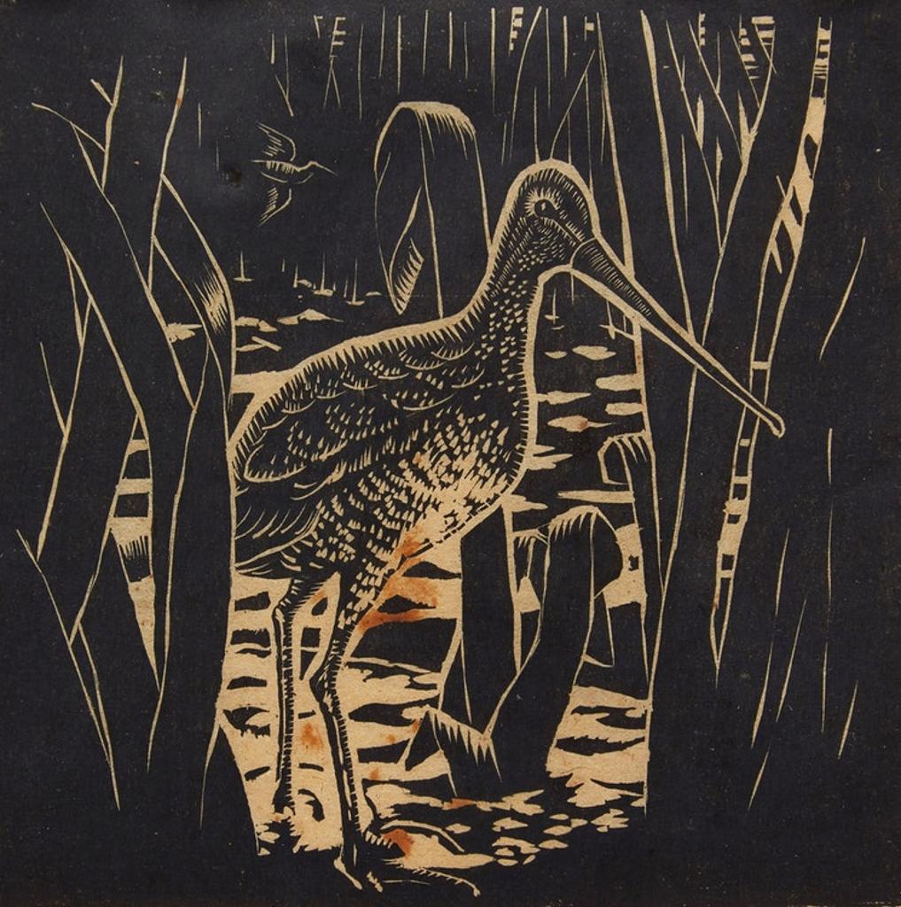 Felix James Shea - Bird Approaching
