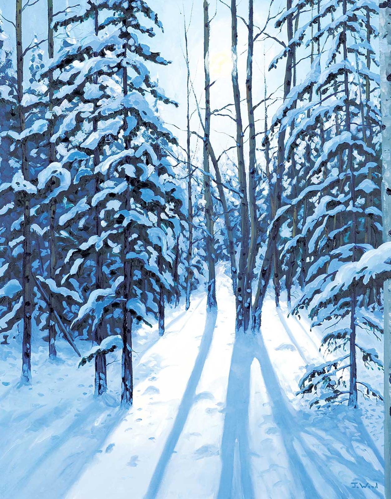 James E. Wood (1974) - Snow Shadows