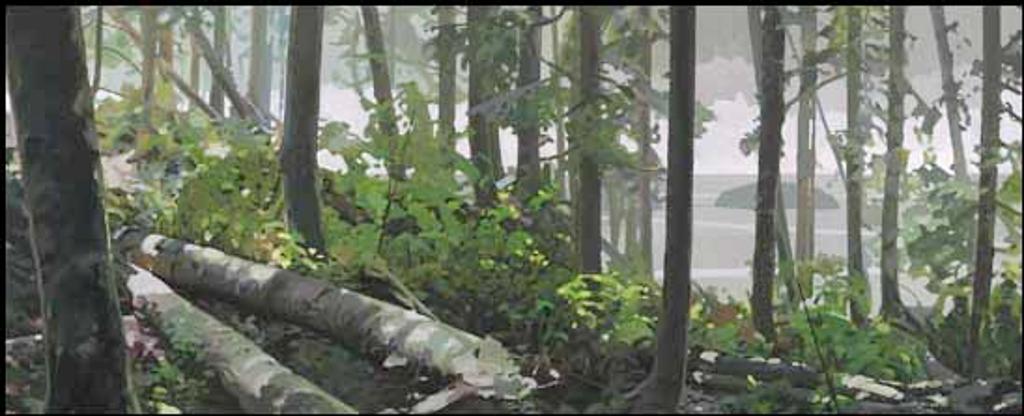 Clayton Anderson (1964) - Between the Trees