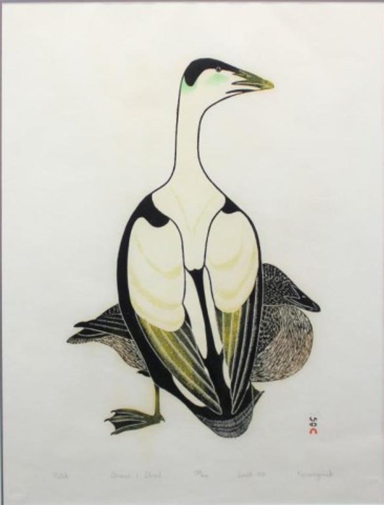 Kananginak Pootoogook (1935-2010) - Untitled