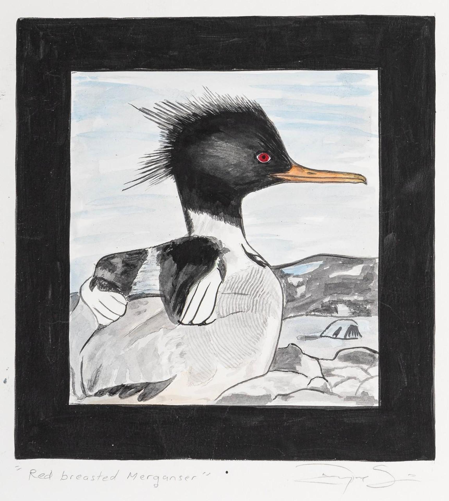 Dwayne Simeon (1960) - Red Breasted Merganser
