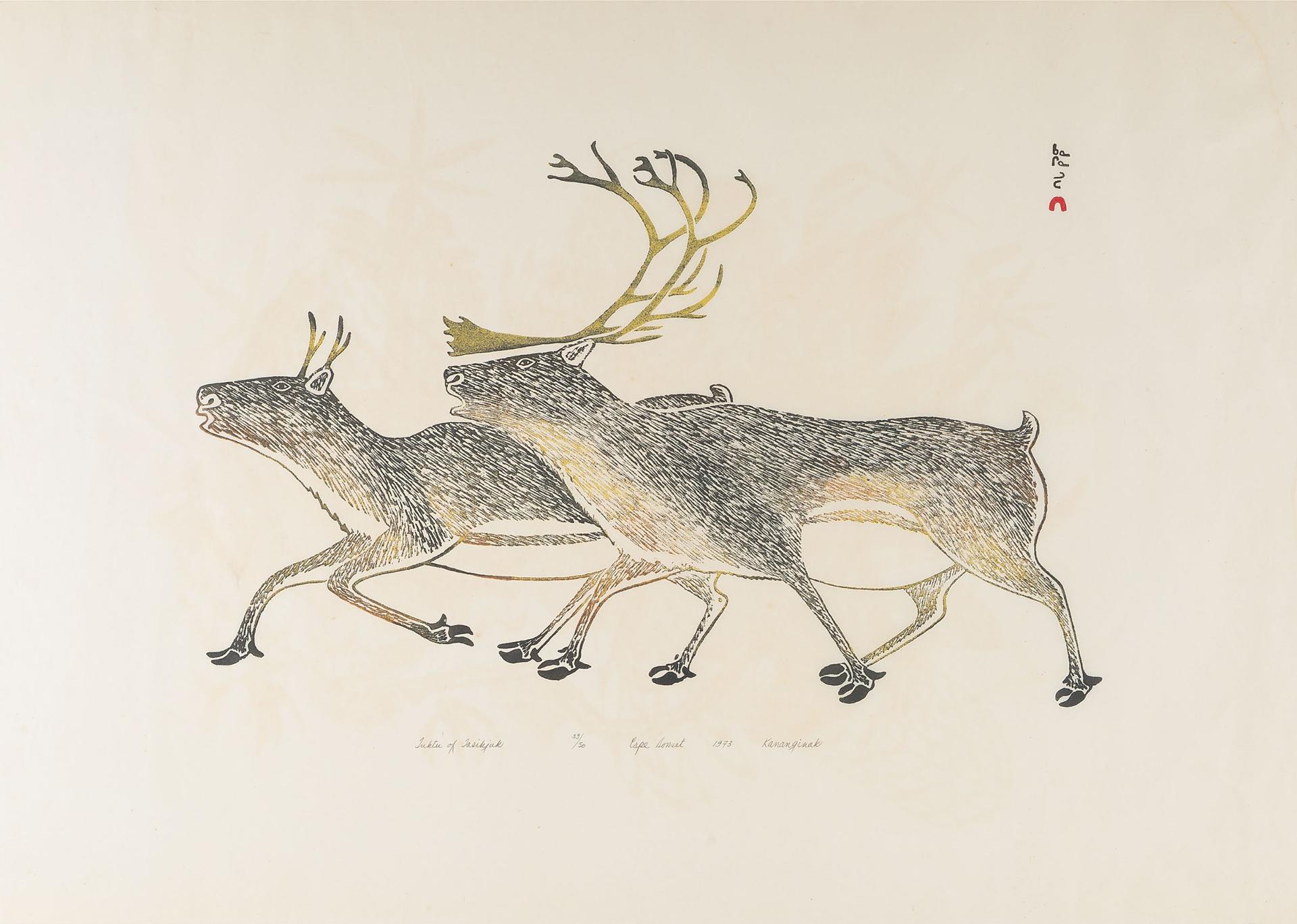 Kananginak Pootoogook (1935-2010) - Tuktu Of Tasikjuk