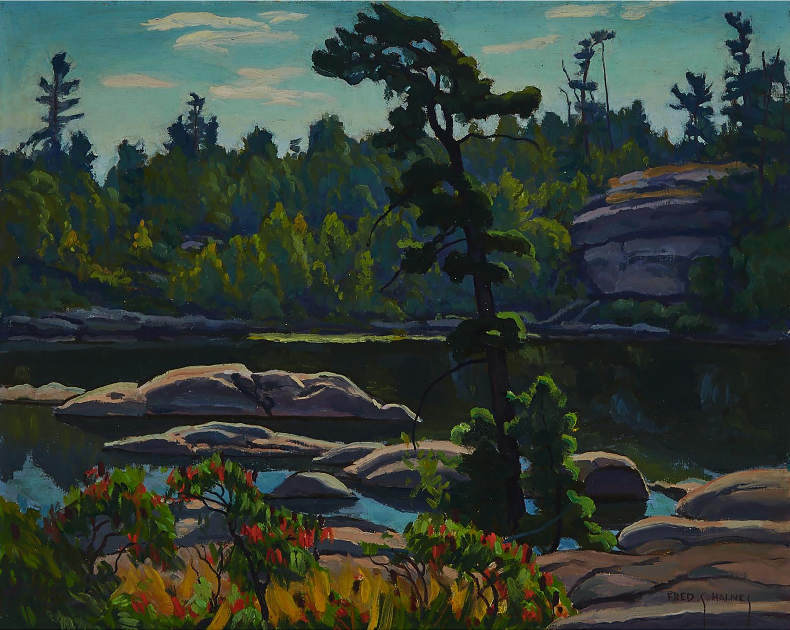 Frederick Stanley Haines (1879-1960) - Untitled (Pine Trees On The Shoreline)
