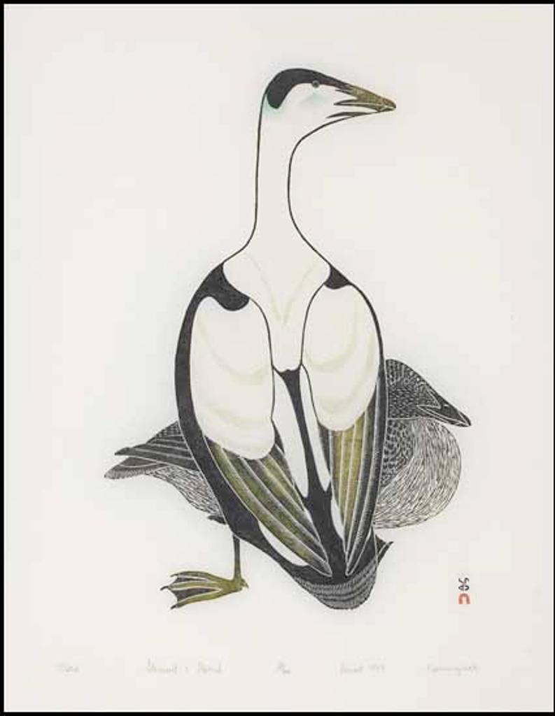 Kananginak Pootoogook (1935-2010) - Metic