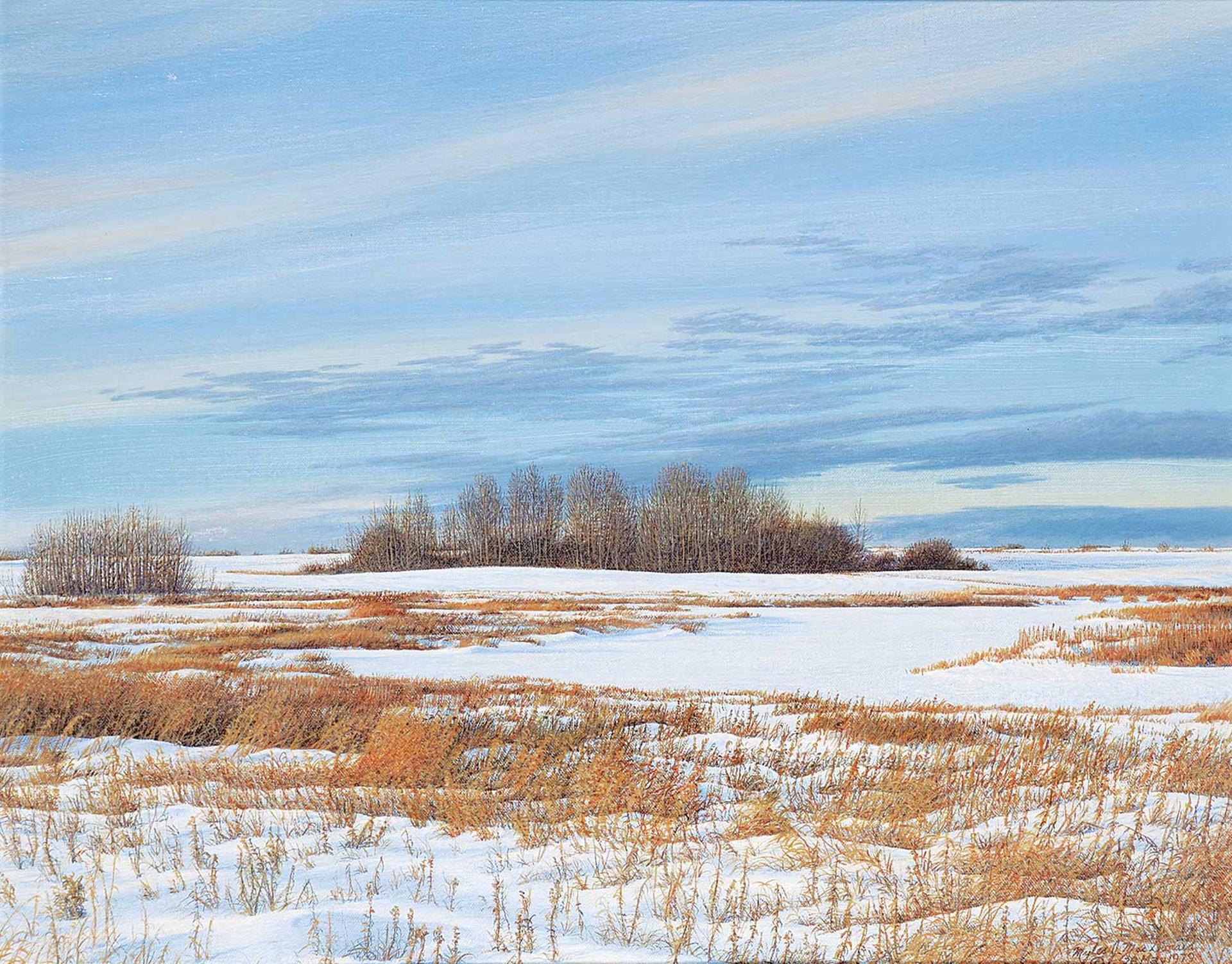 Myles Joseph MacDonald (1941) - Winter Afternoon [No.7]