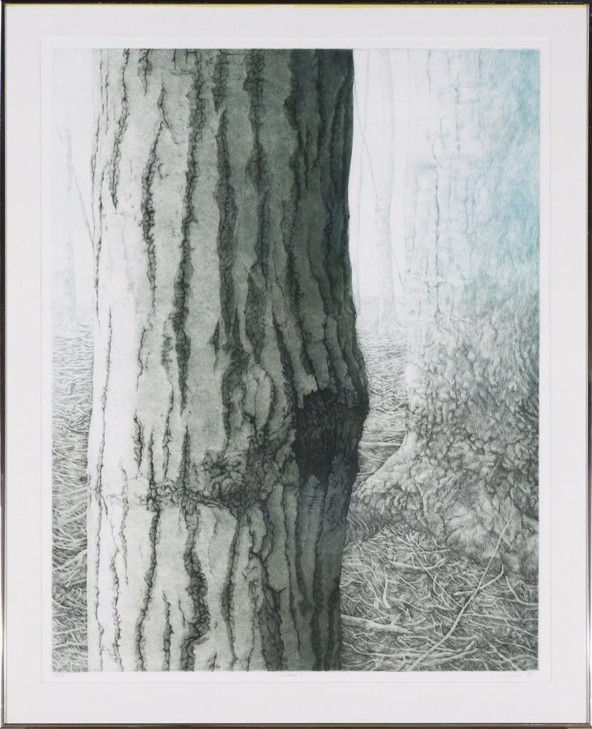 Jo Manning (1923-2022) - Woodlot VI