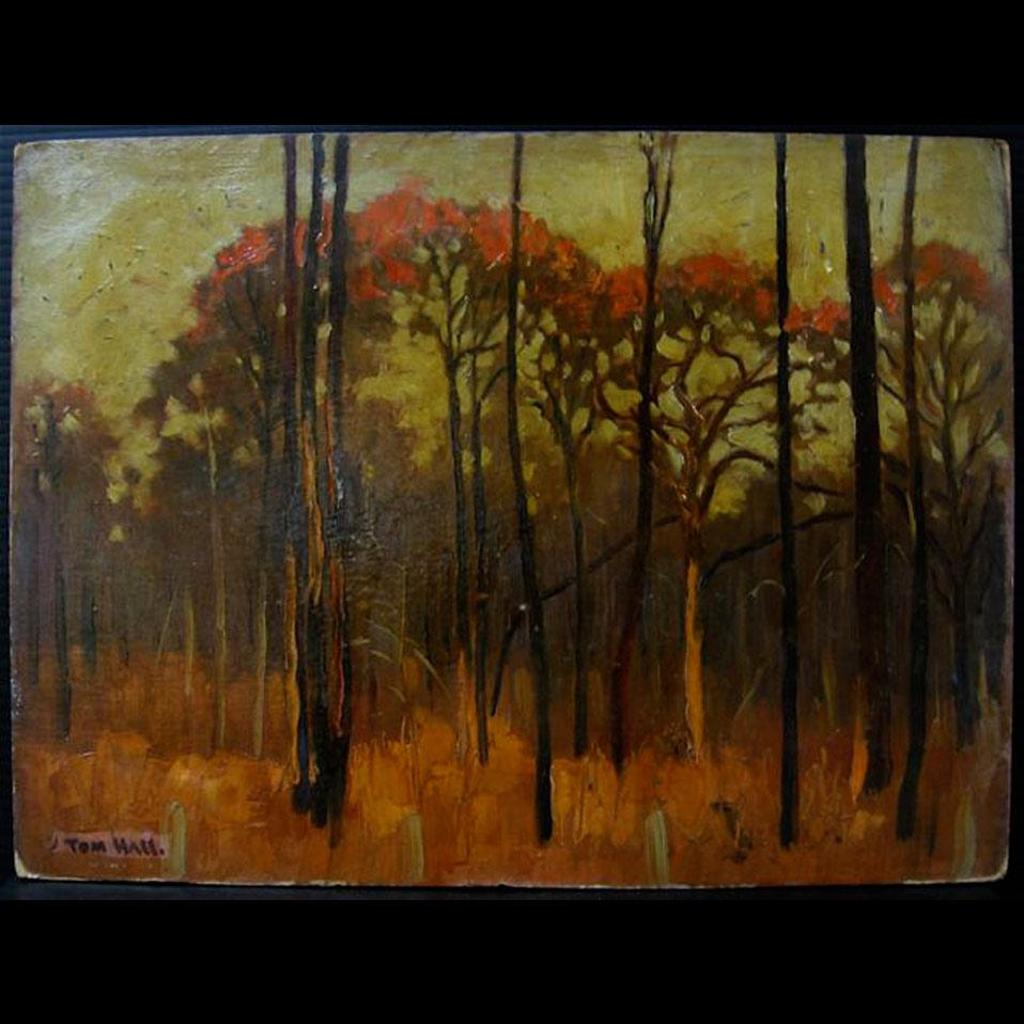 Tom Herbert Hall (1885-1972) - Tree Top Staten Island, N.Y.; Fall Woodland Study