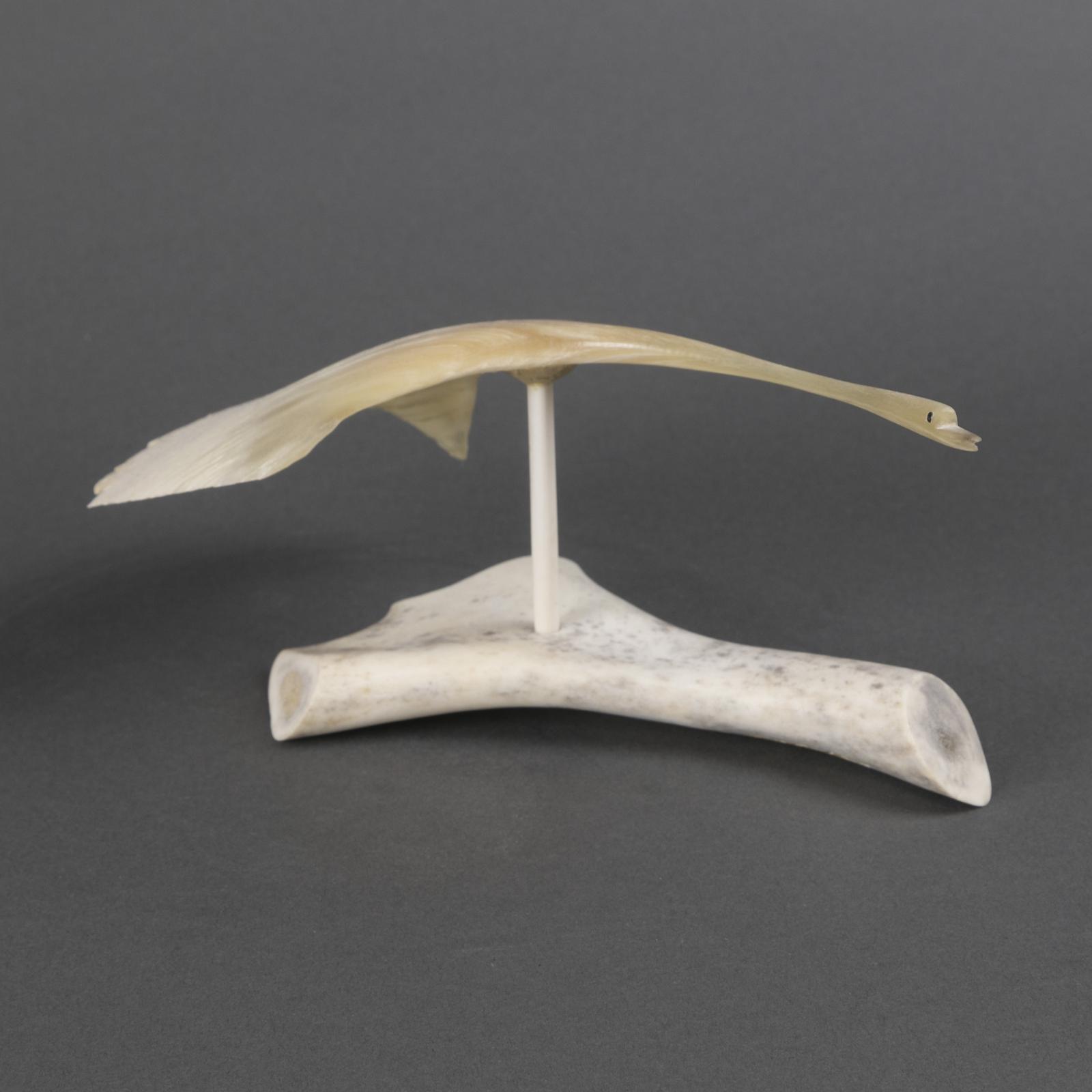 Jim Radd - Flying Crane
