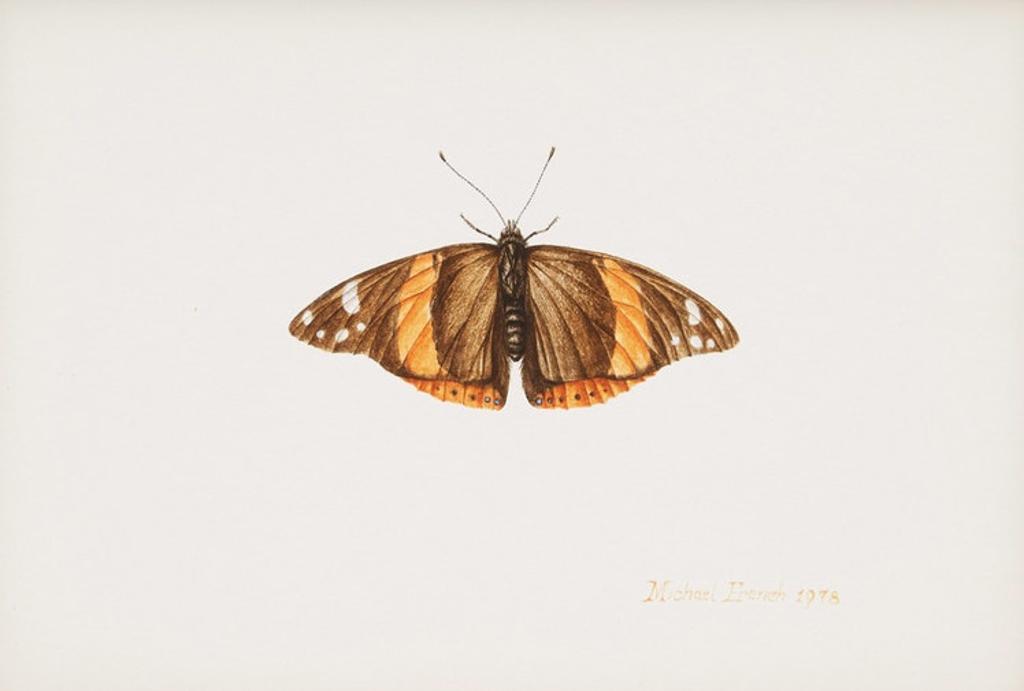 Michael Peter French (1951) - Butterfly Study