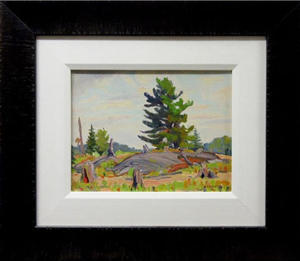 Bernice Fenwick Martin (1902-1999) - Backwoods, Northland