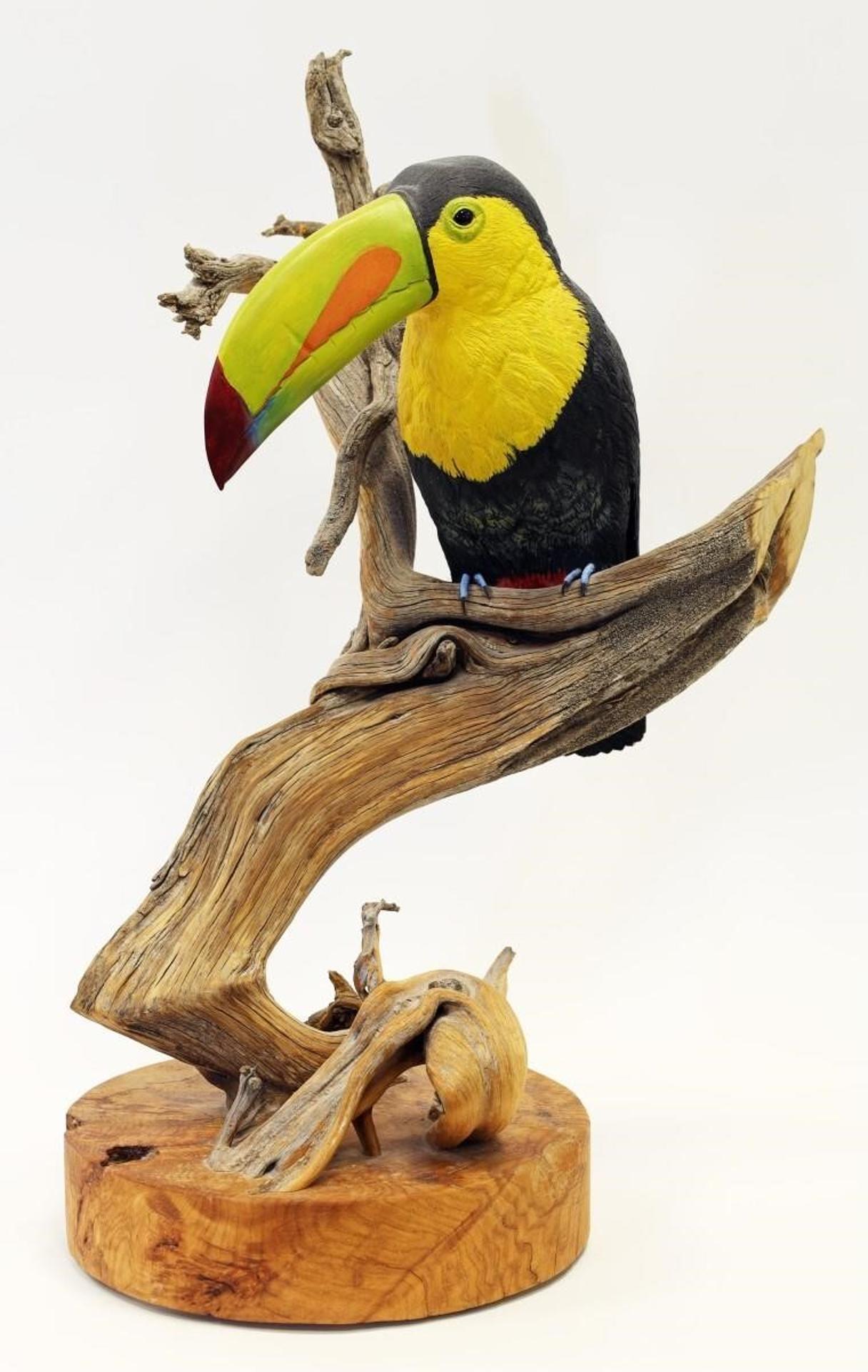 Deanna Bartholow - Toucan