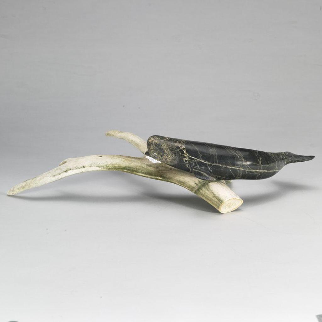 Isaac Ohotaq - Whale On Base