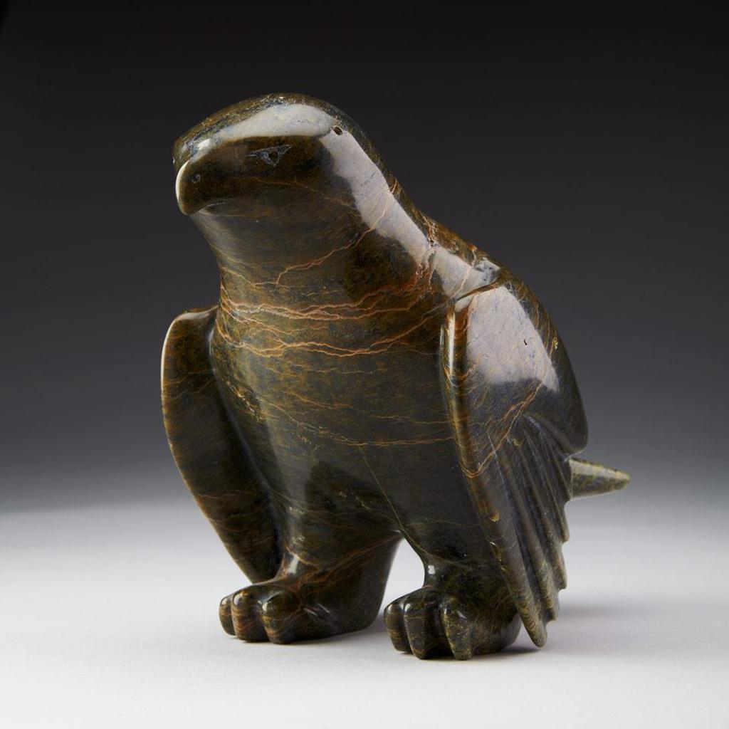 Oviloo Tunnillie (1949-2014) - Falcon
