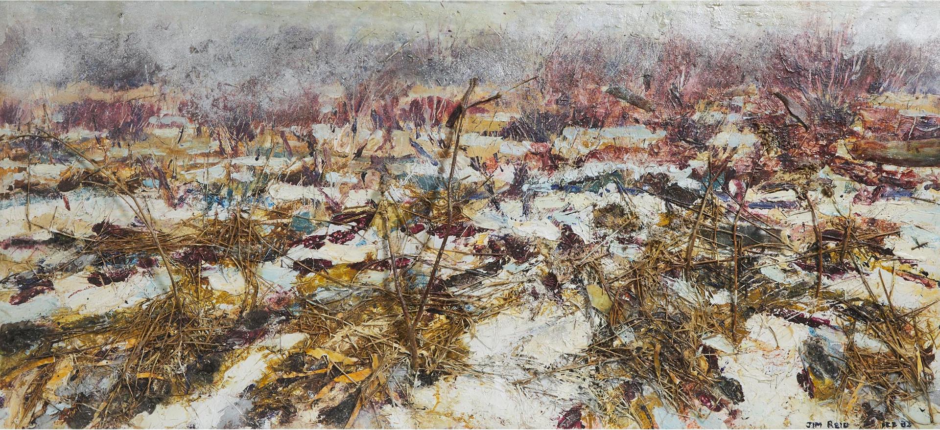 Jim Reid - February Thaw, 1983