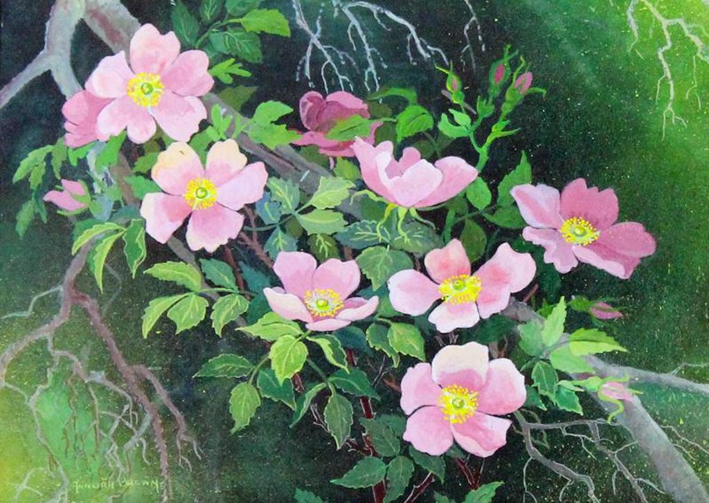 Annora Brown (1899-1987) - Alberta Wild Rose