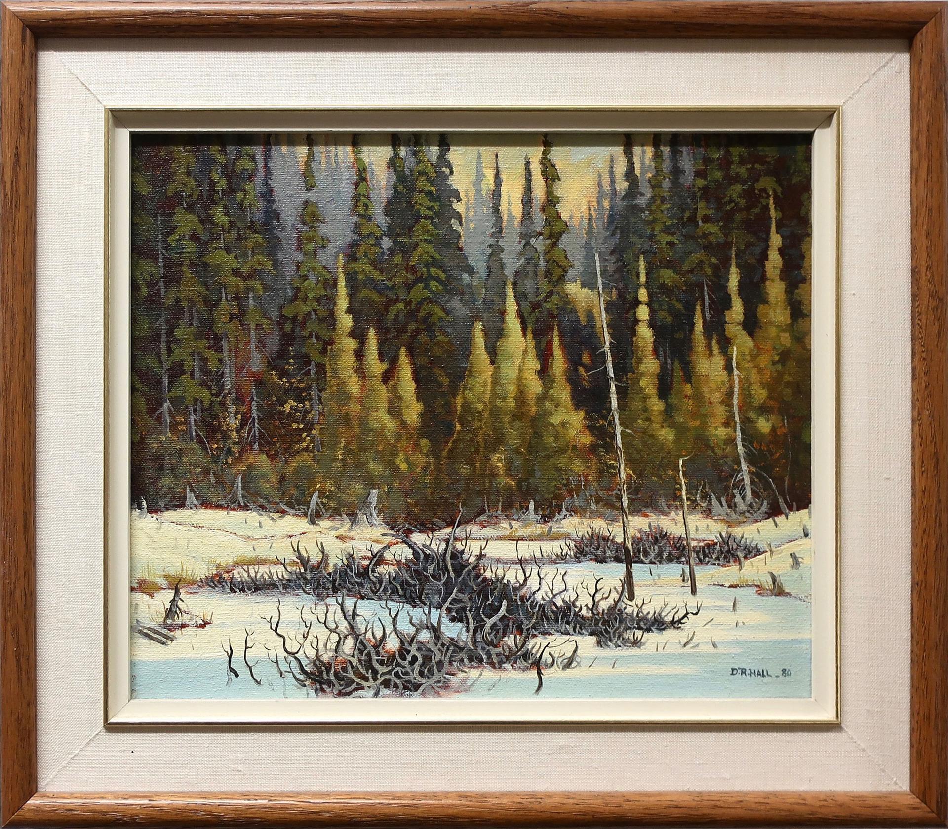 Donald Richard Hall - Frozen Beaver Pond