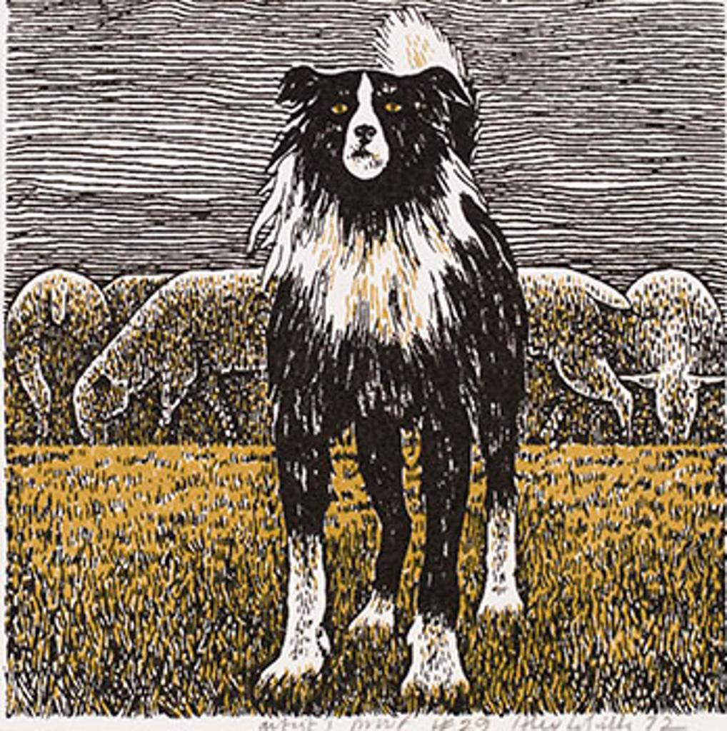 Alexander (Alex) Colville (1920-2013) - Border Collie