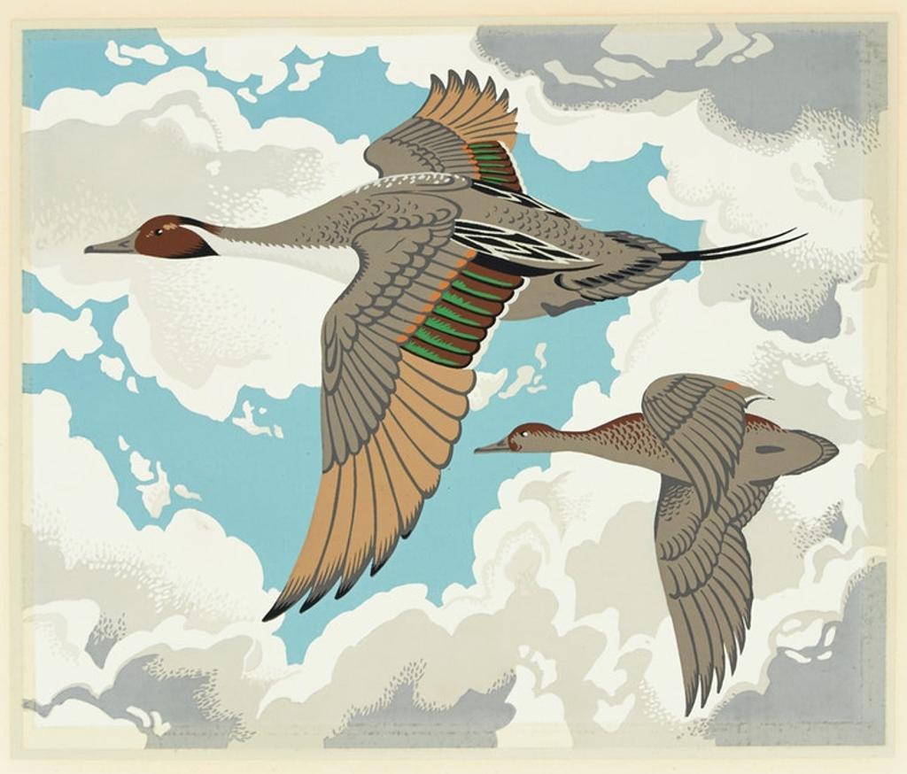 Alfred Joseph (A.J.) Casson (1898-1992) - Pintail