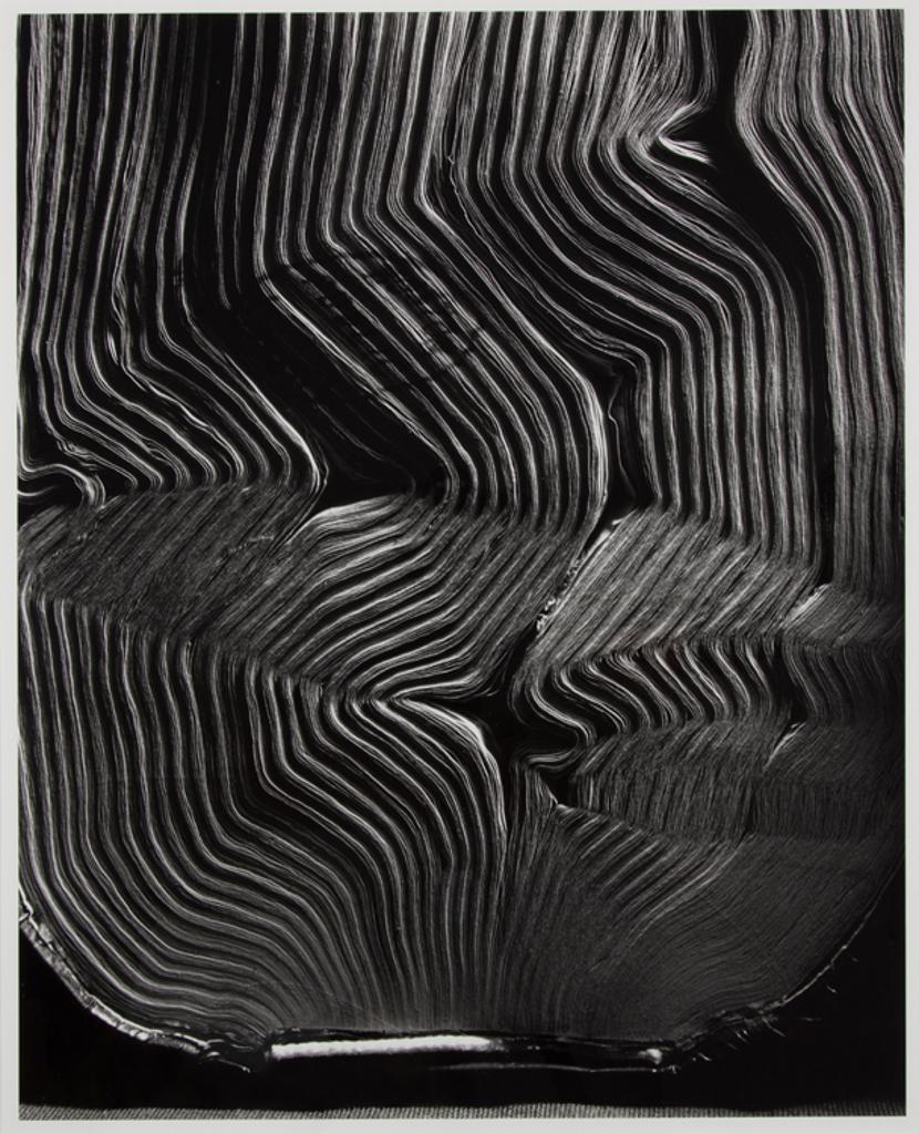 Abelardo Morell - Book with Wavy Pages