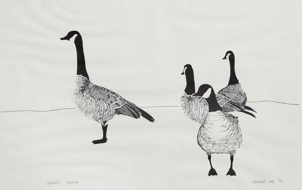 Cathcart - Canada Geese