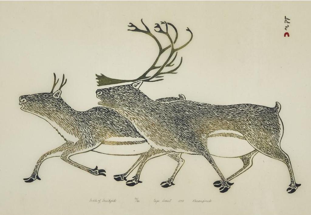 Kananginak Pootoogook (1935-2010) - Tuktu Of Tasikjuk