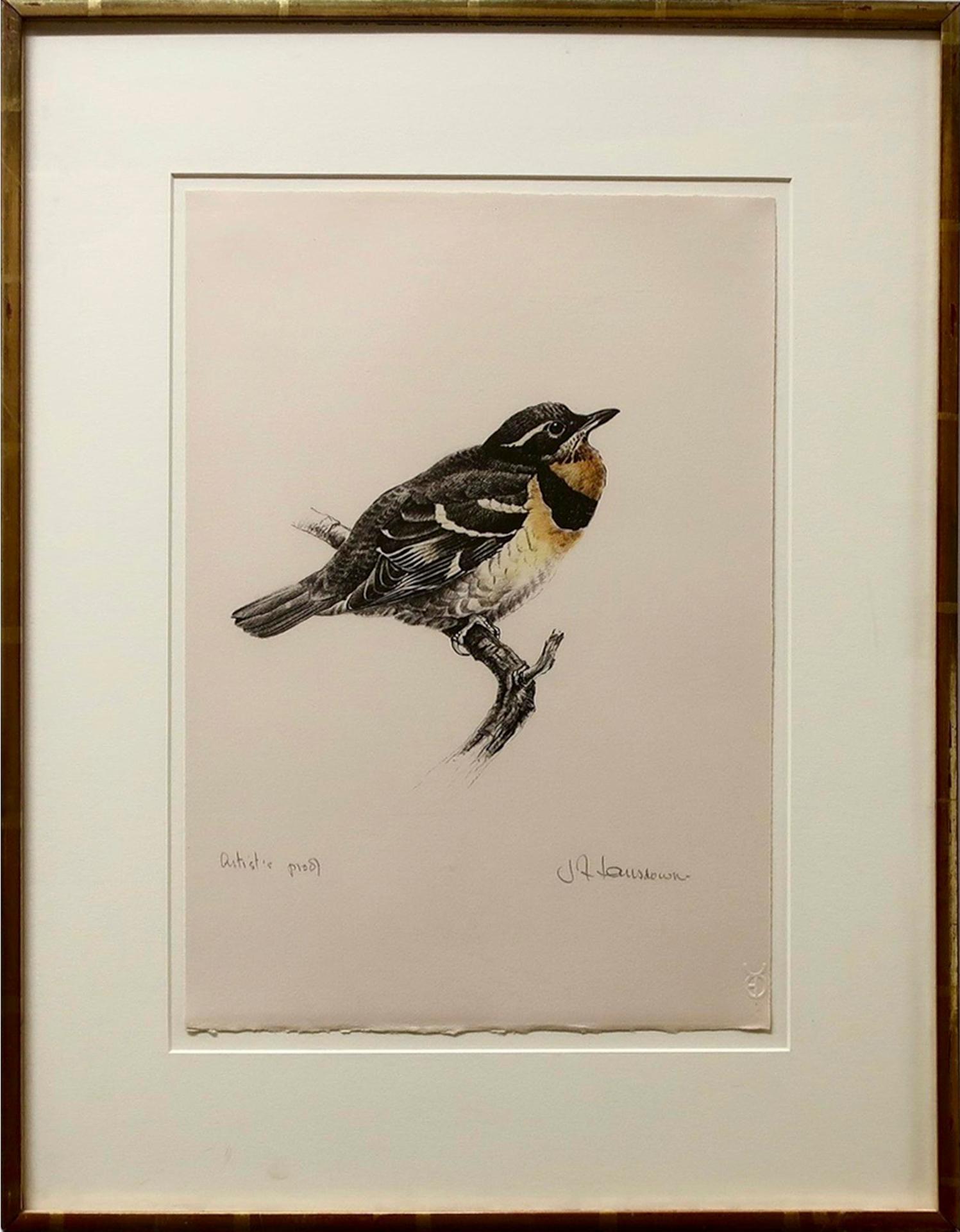 James Fenwick Lansdowne (1937-2008) - Thrush