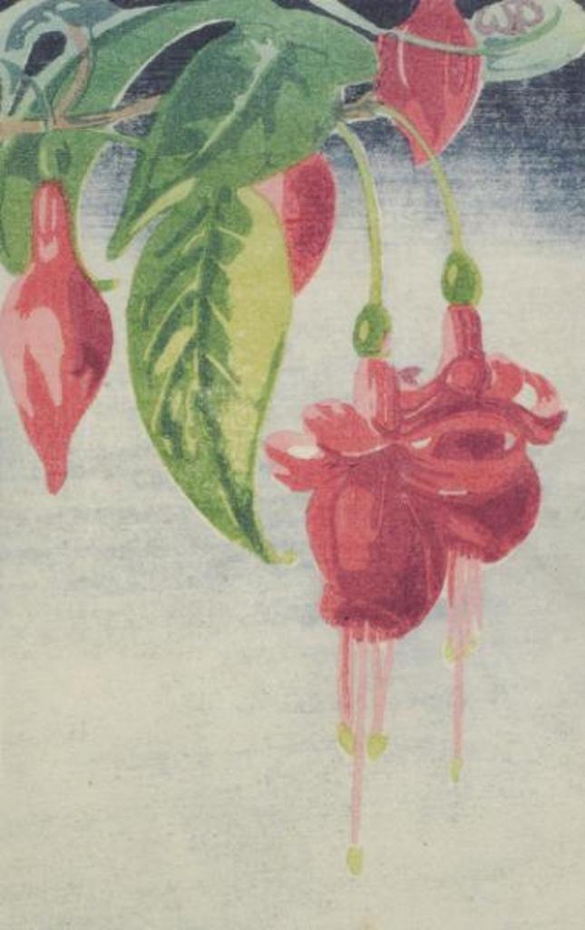 Walter Joseph (W.J.) Phillips (1884-1963) - Fuchsia; 1927
