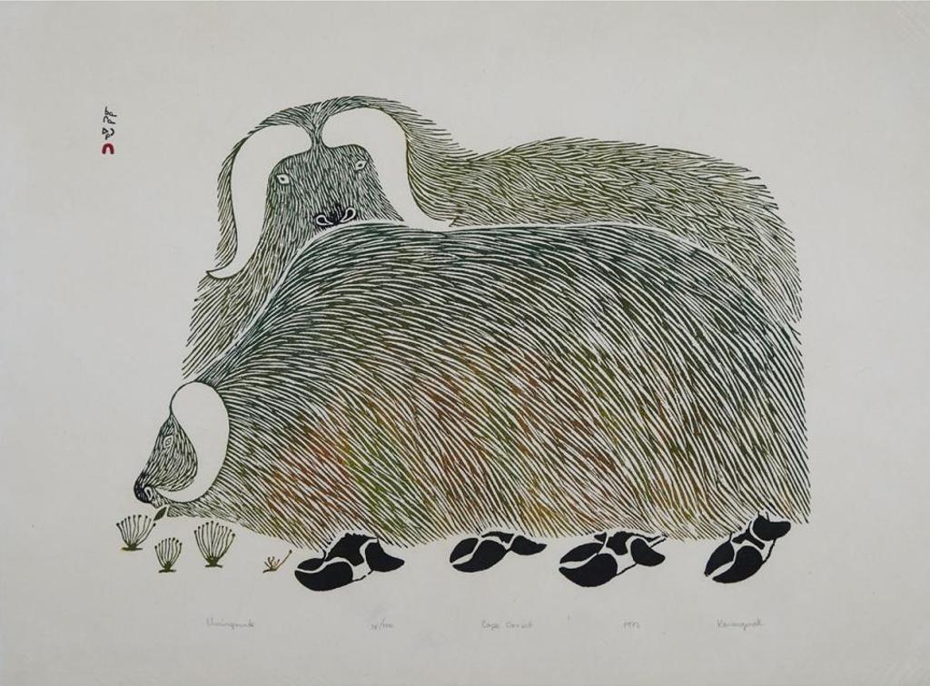 Kananginak Pootoogook (1935-2010) - Umingmuk