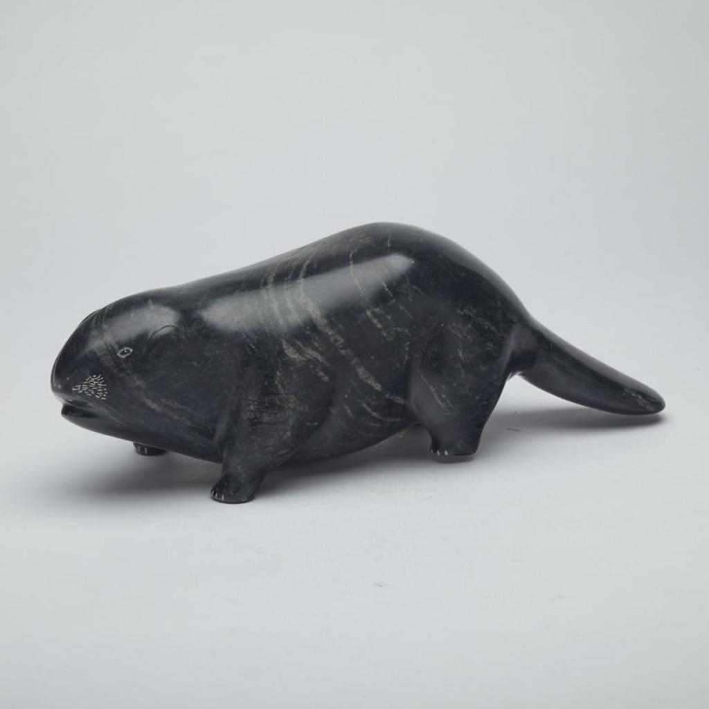 Eva Nochasak - Beaver With Inset Teeth