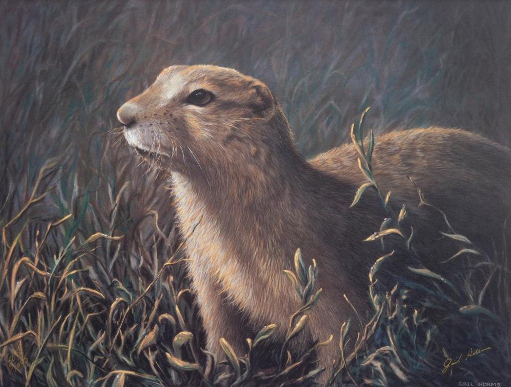 Gail Adams - Untitled - Gopher