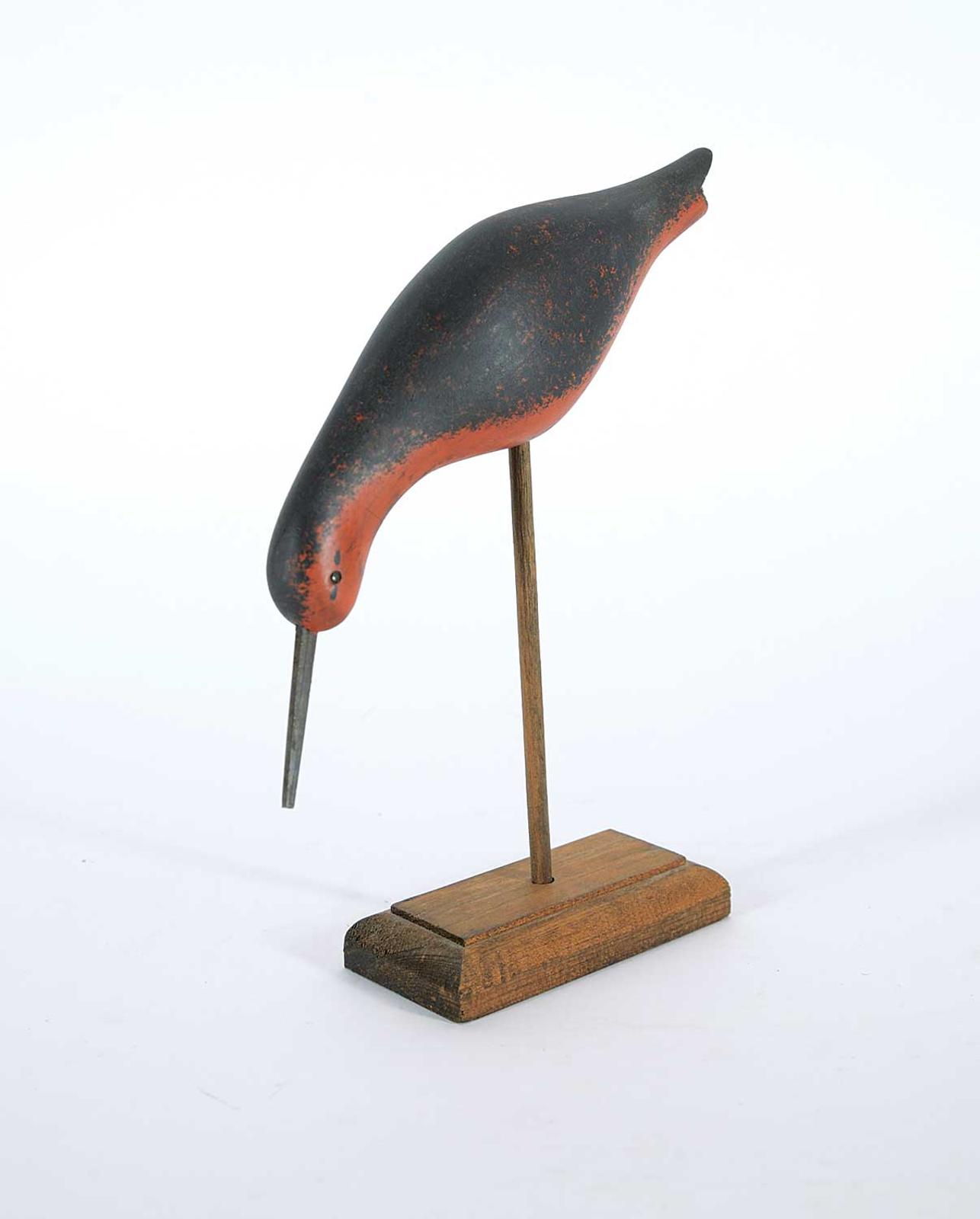 Robert MacInnis - Red Knot