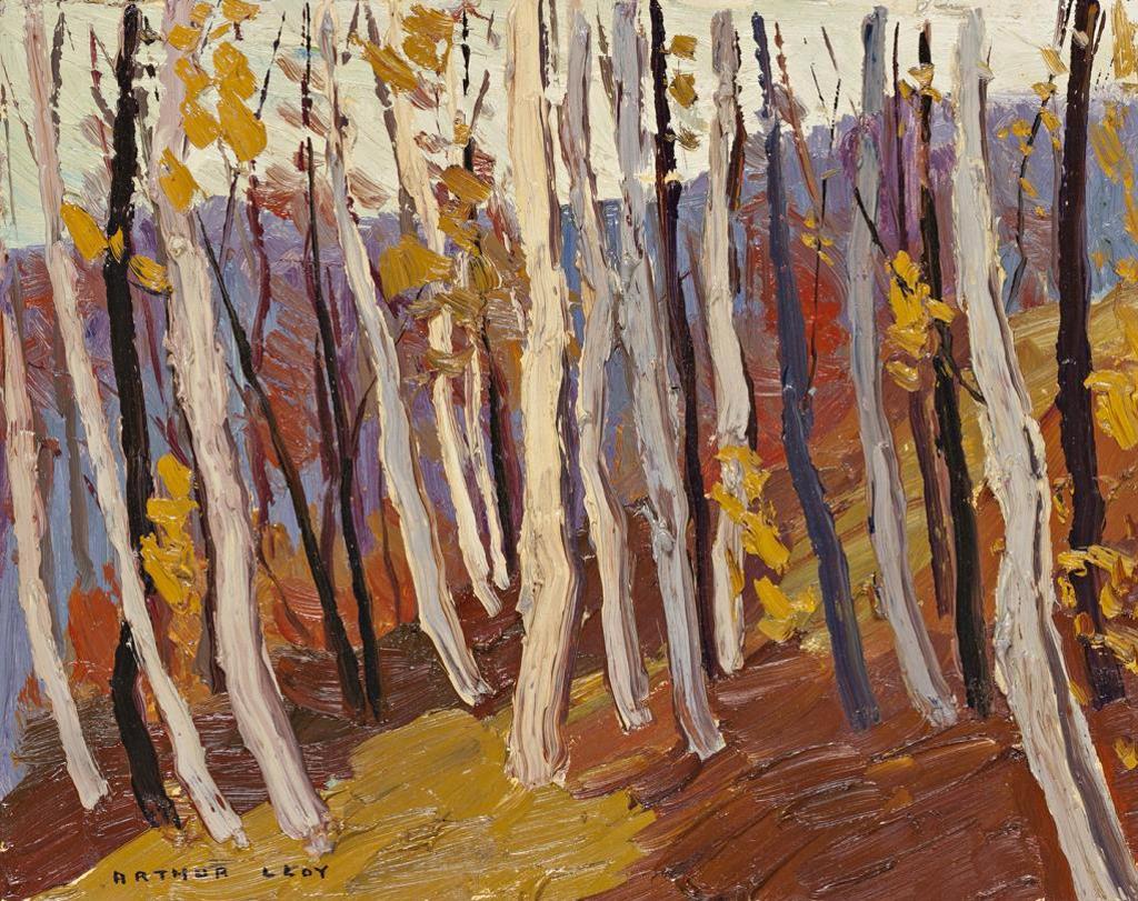 Arthur George Lloy (1929-1986) - Birch Hillside, Lewis Lake