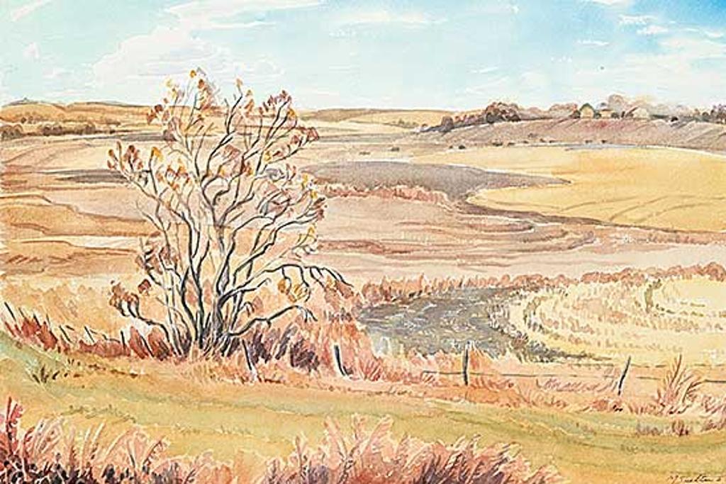 Margaret Dorothy Shelton (1915-1984) - Near Rockyford