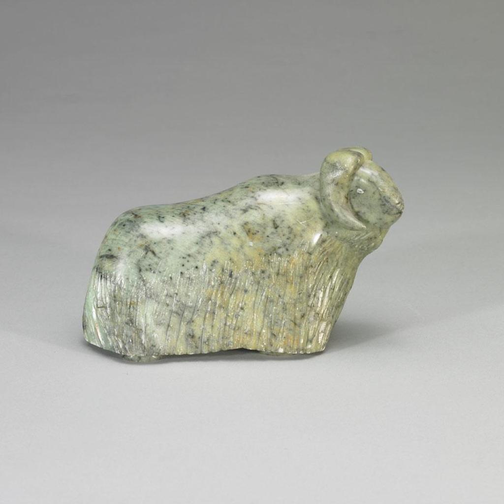 Wayne R. Thrasher - Musk-Ox